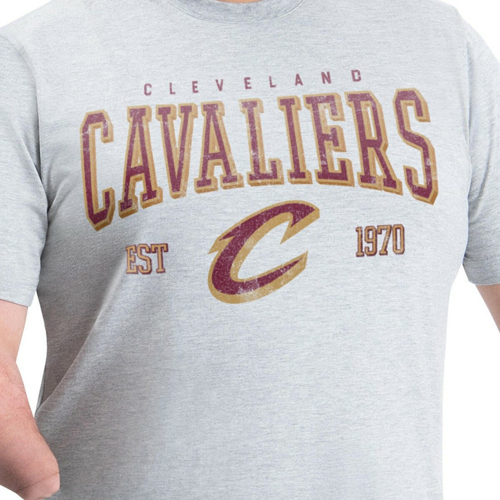 Cleveland Cavaliers G-III Sports by Carl Banks Adaptive Classic Team Spirit Short Sleeve T-Shirt Gray - NBA