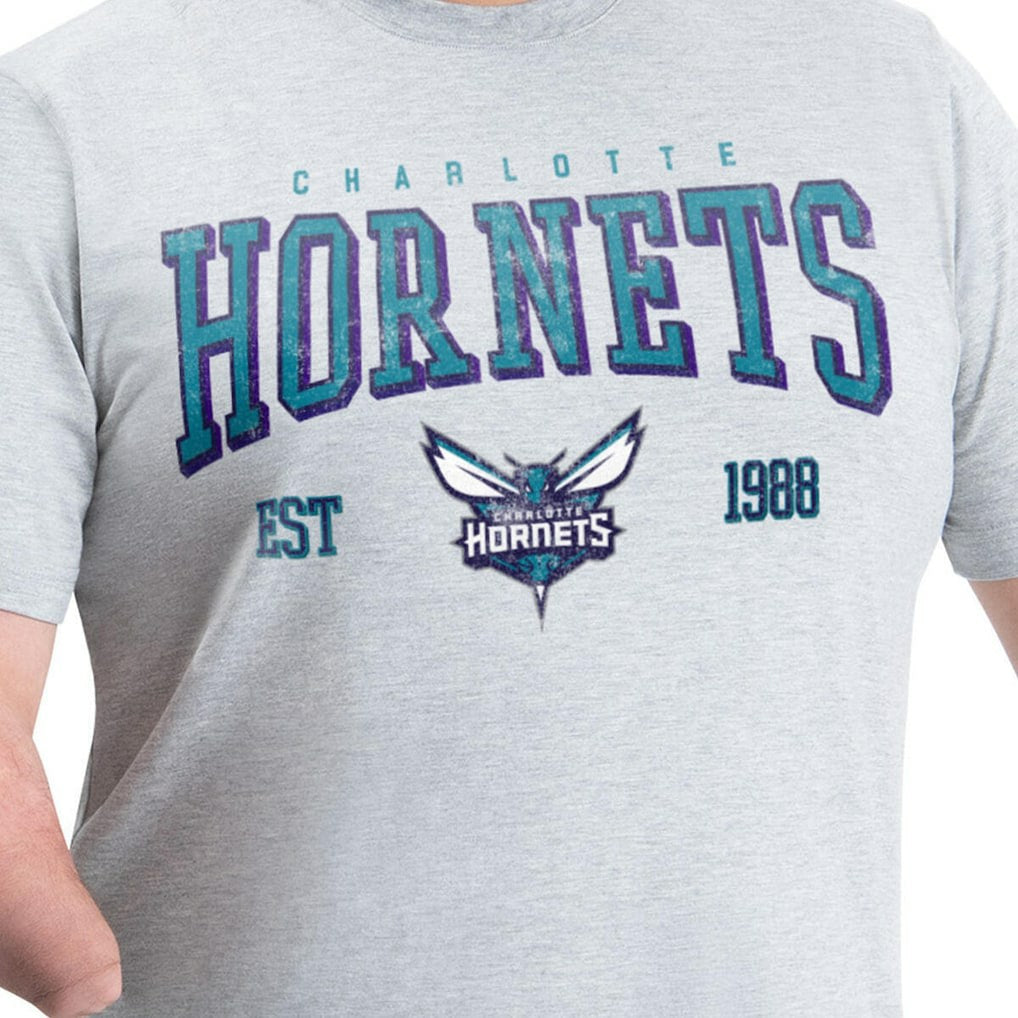 Charlotte Hornets G-III Sports by Carl Banks Adaptive Classic Team Spirit Short Sleeve T-Shirt Gray - NBA