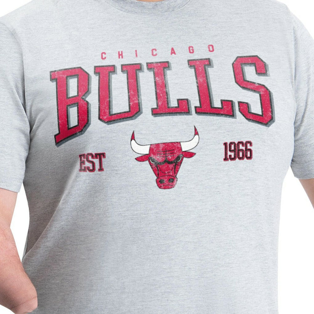 Chicago Bulls G-III Sports by Carl Banks Adaptive Classic Team Spirit Short Sleeve T-Shirt Gray - NBA