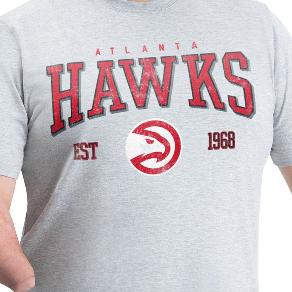 Atlanta Hawks G-III Sports by Carl Banks Adaptive Classic Team Spirit Short Sleeve T-Shirt Gray - NBA