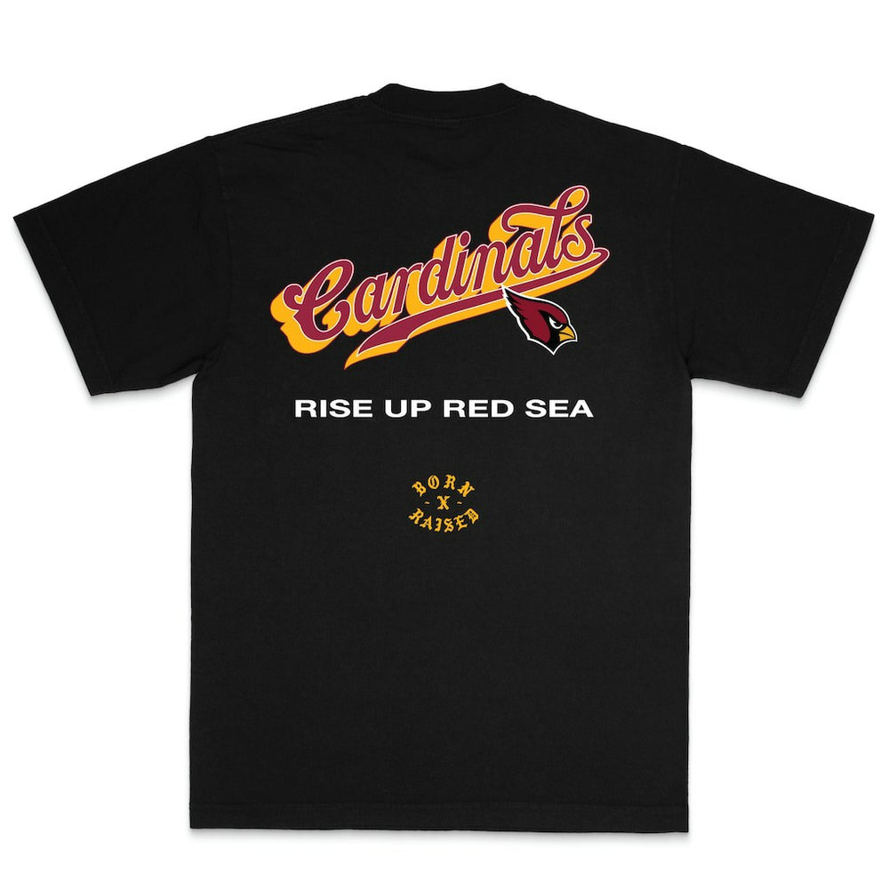 Arizona Cardinals Born x Raised Unisex Pro Script T-Shirt Black | NFL