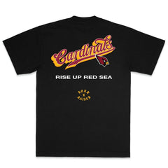 Arizona Cardinals Born x Raised Unisex Pro Script T-Shirt Black | NFL
