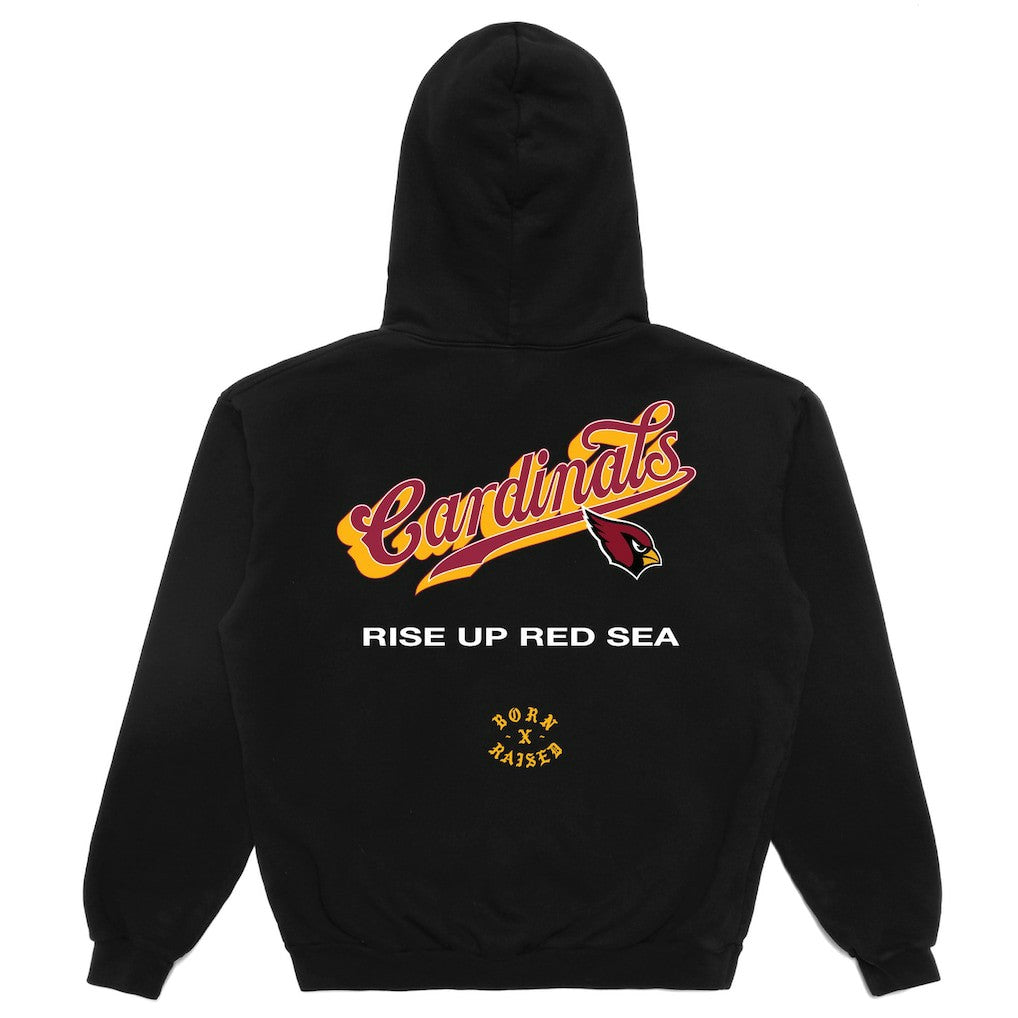 Arizona Cardinals Born x Raised Unisex Pro Script Hoodie Black | NFL