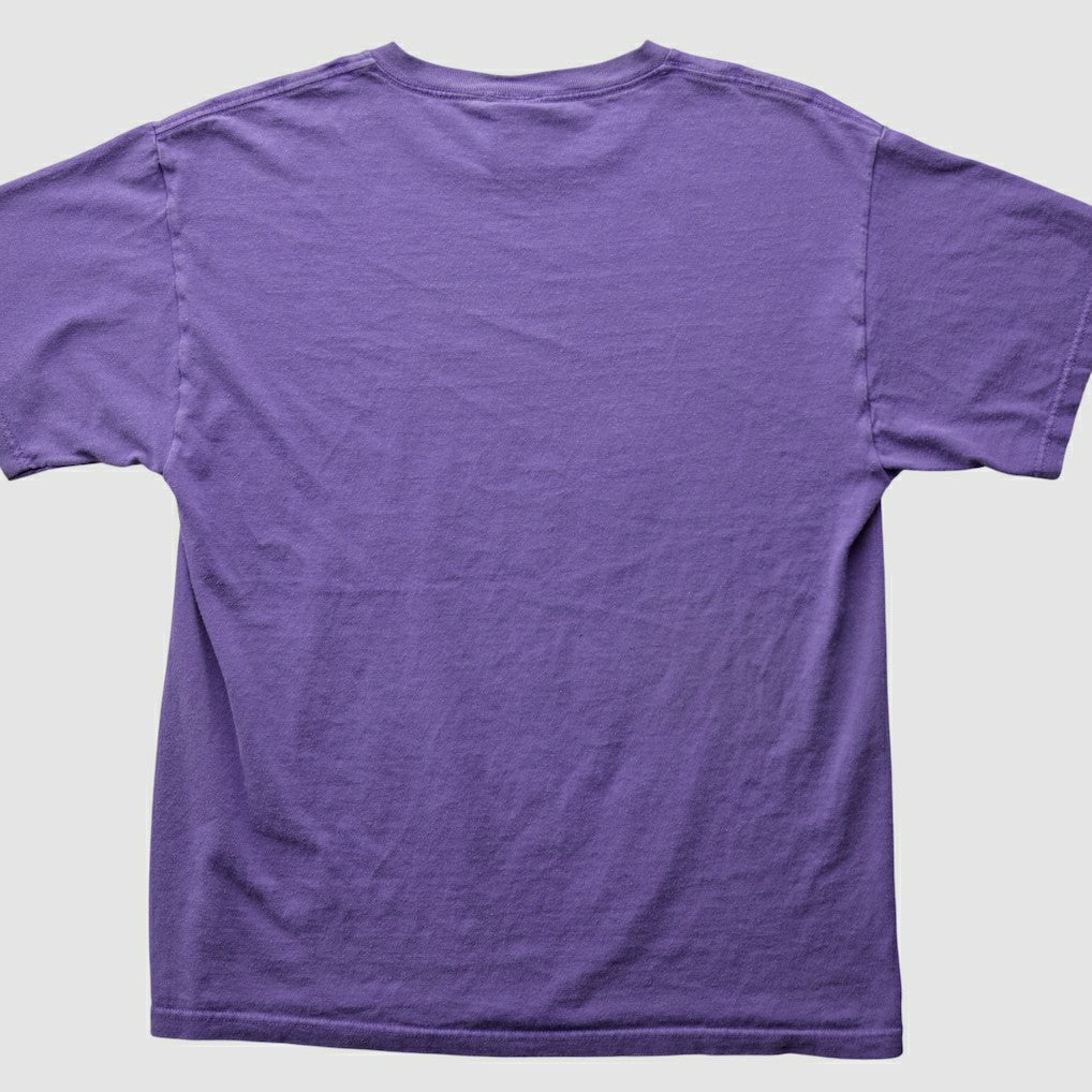 Minnesota Vikings 2007 T-Shirt Purple Vintage | Fanatics