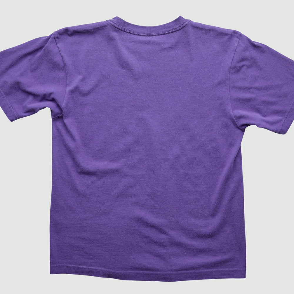 Minnesota Vikings 2000s T-Shirt Purple Vintage | Fanatics