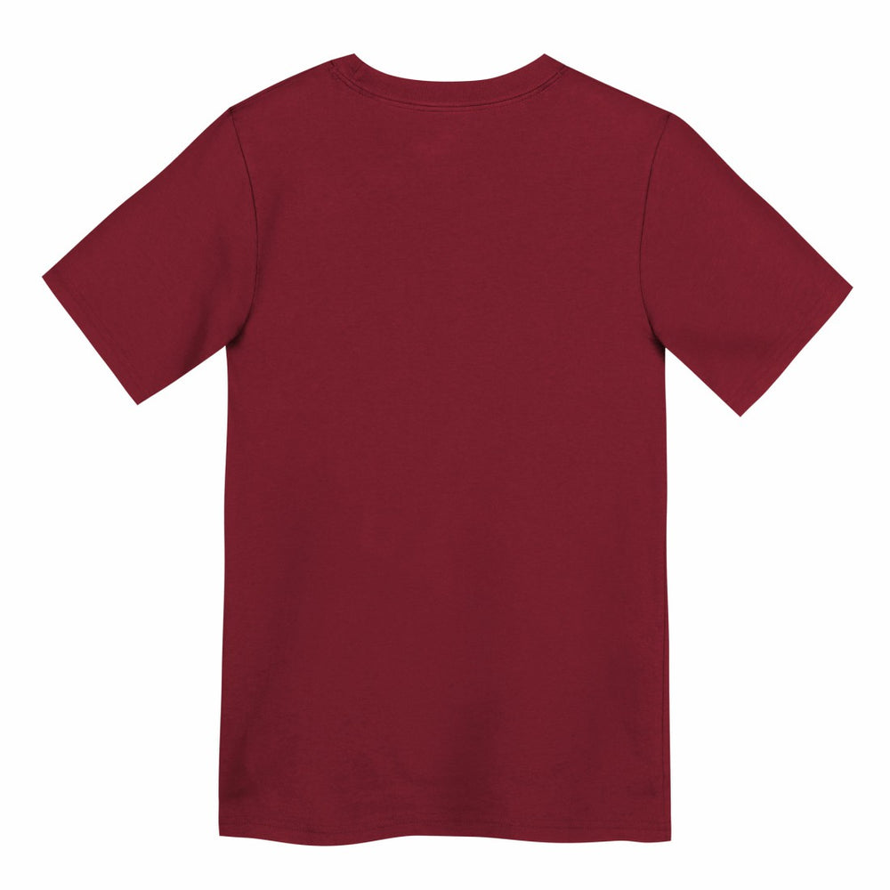 Tampa Bay Buccaneers Preschool Icon Legend Dri-FIT T-Shirt Red | Nike for Sale