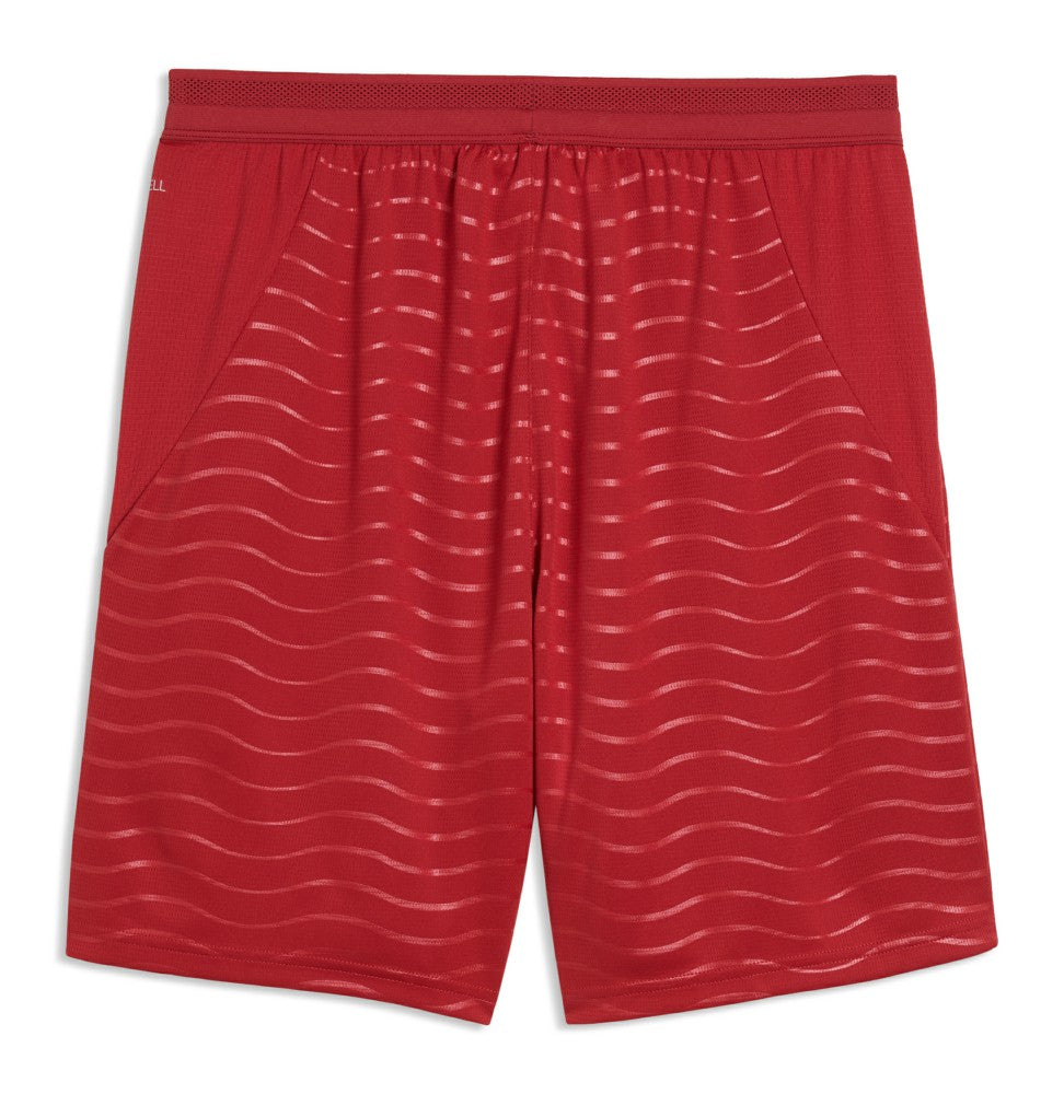 Portugal National Team 2026 Replica Shorts Red | Puma cheap