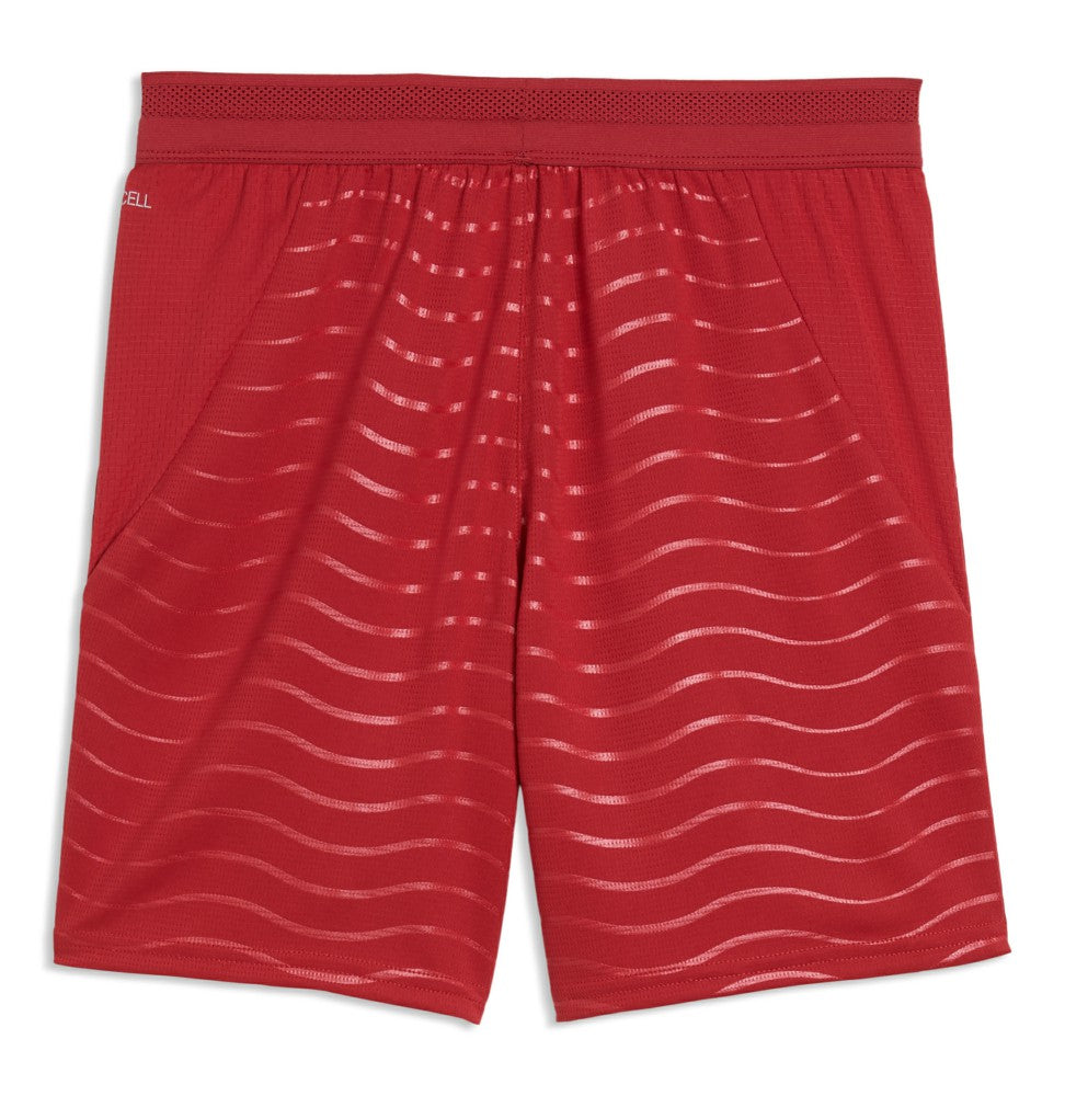 Portugal National Team Youth 2026 Replica Shorts Red | Puma Online