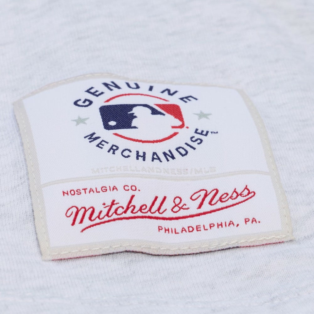 Los Angeles Dodgers Mitchell & Ness Women's Script Cropped Boxy T-Shirt - MLB