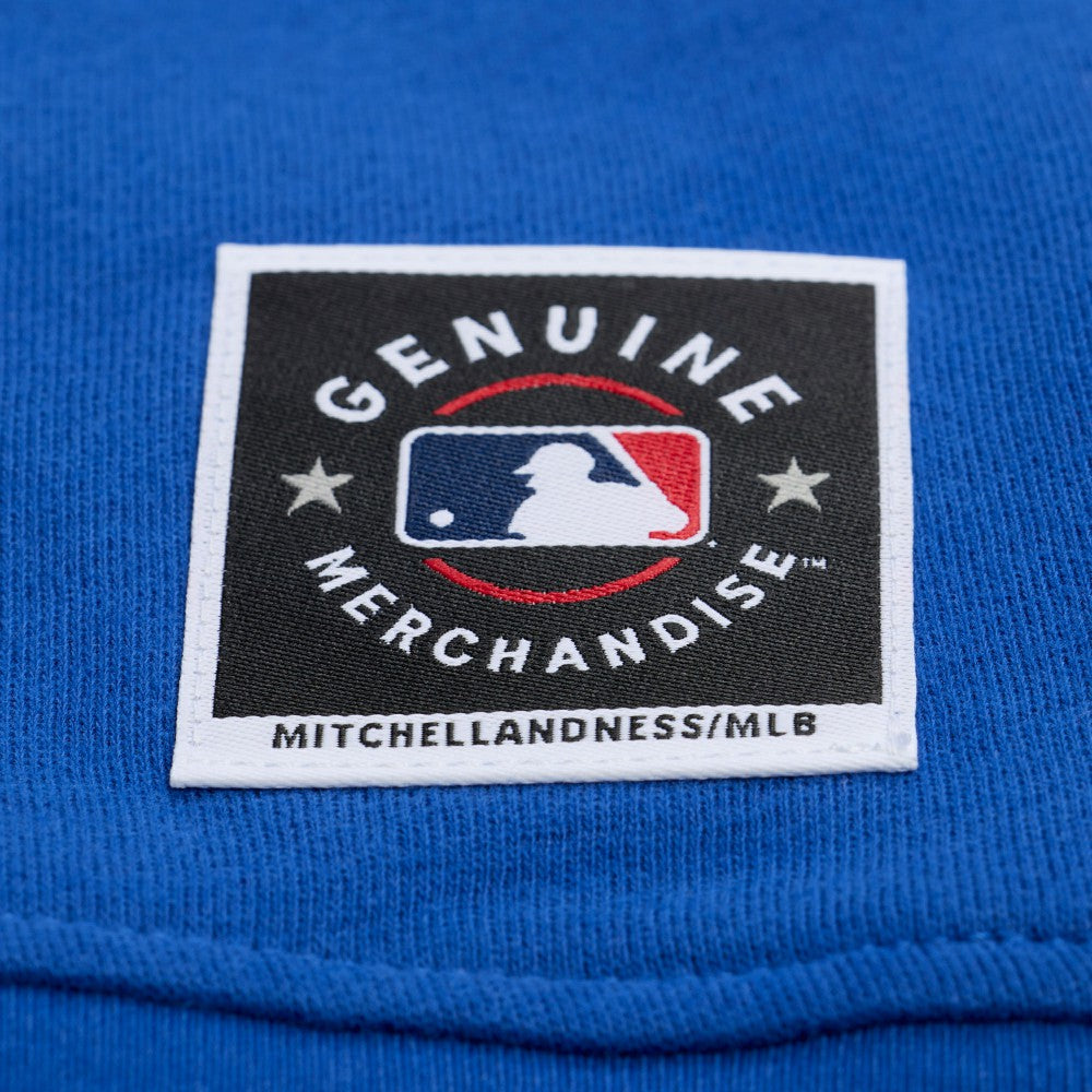 Los Angeles Dodgers Mitchell & Ness Women's Script Sweatshirt - MLB