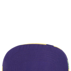 Minnesota Vikings '47 Beach Side Hitch Adjustable Hat White/Purple | 47 brand