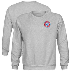 Bayern Munich 1863FC Youth Color Badge Sweatshirt Gray - FIFA World CUP