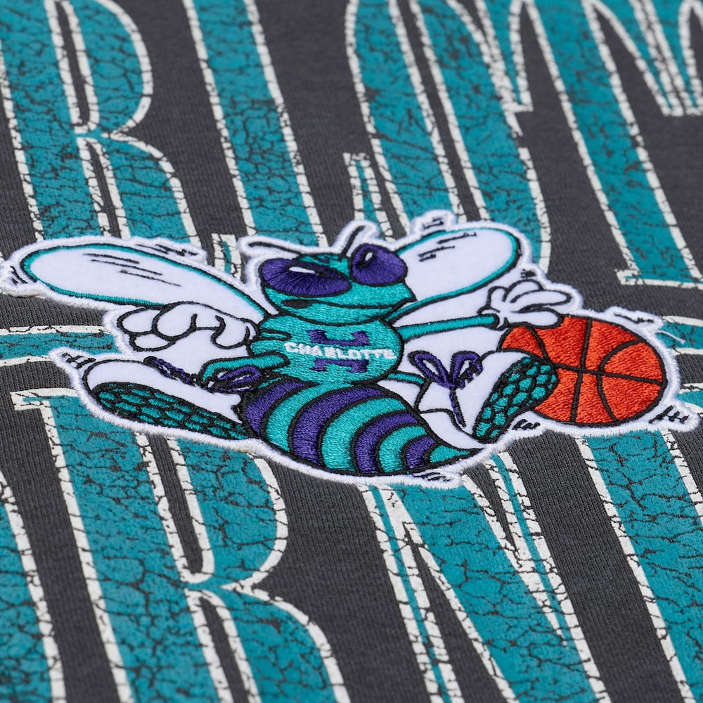 Charlotte Hornets NBA Downtown Collection Fleece Sweatshirt Black - NBA