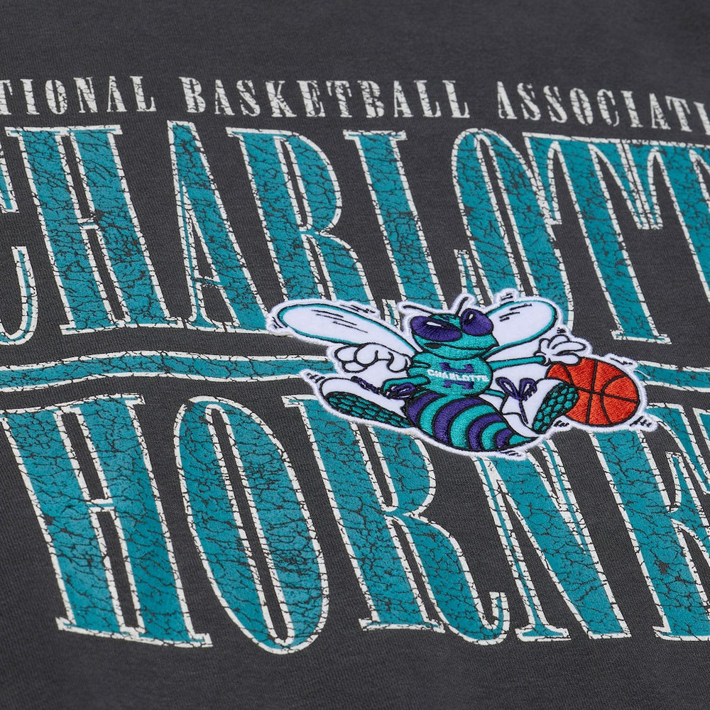 Charlotte Hornets NBA Downtown Collection Fleece Sweatshirt Black - NBA