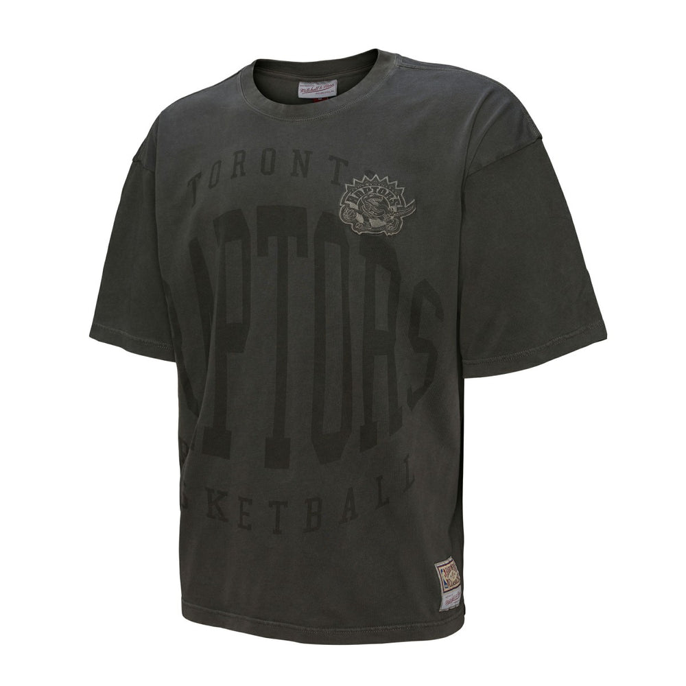Toronto Raptors Downtown Collection Premium T-Shirt Black - NBA