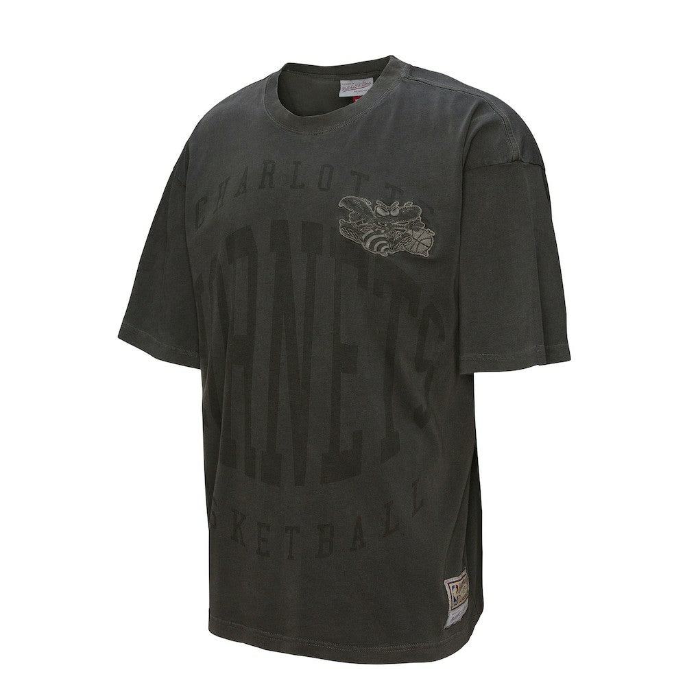 Charlotte Hornets Downtown Collection Premium T-Shirt Black - NBA