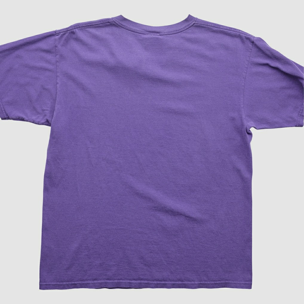 Minnesota Vikings NFL 2000s T-Shirt Purple Vintage | Fanatics