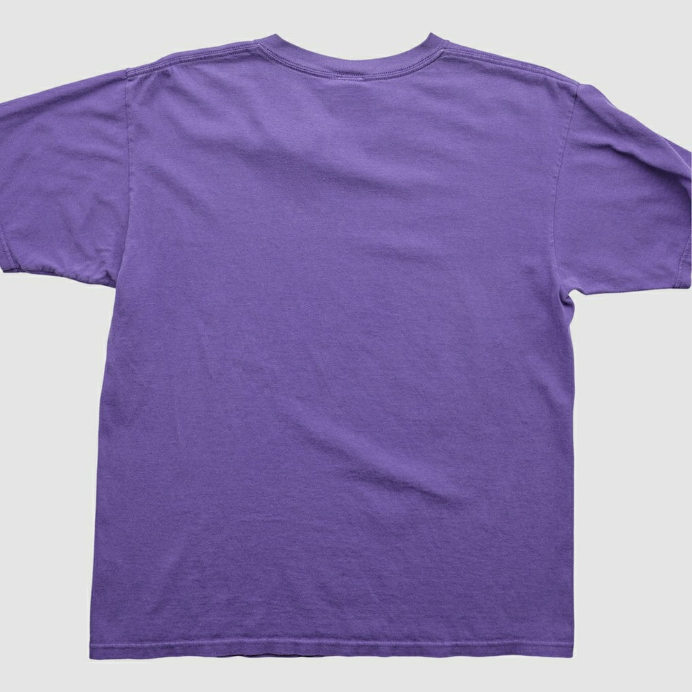 Minnesota Vikings NFL 2000s T-Shirt Purple Vintage | Fanatics
