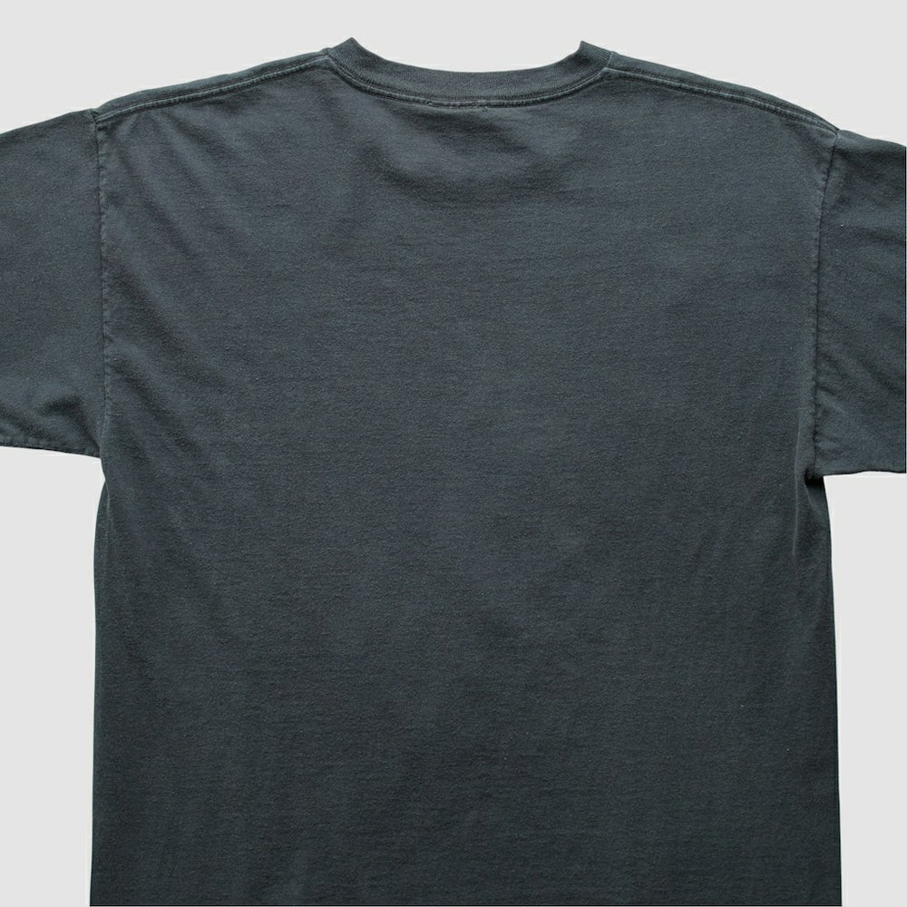 Pittsburgh Steelers NFL 2000s T-Shirt Black Vintage | Fanatics