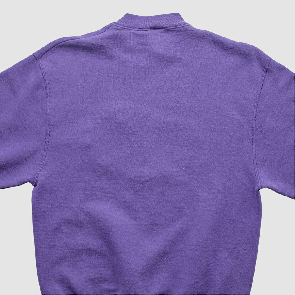 Minnesota Vikings Pro Player 90s Pullover Sweatshirt Purple Vintage | Fanatics