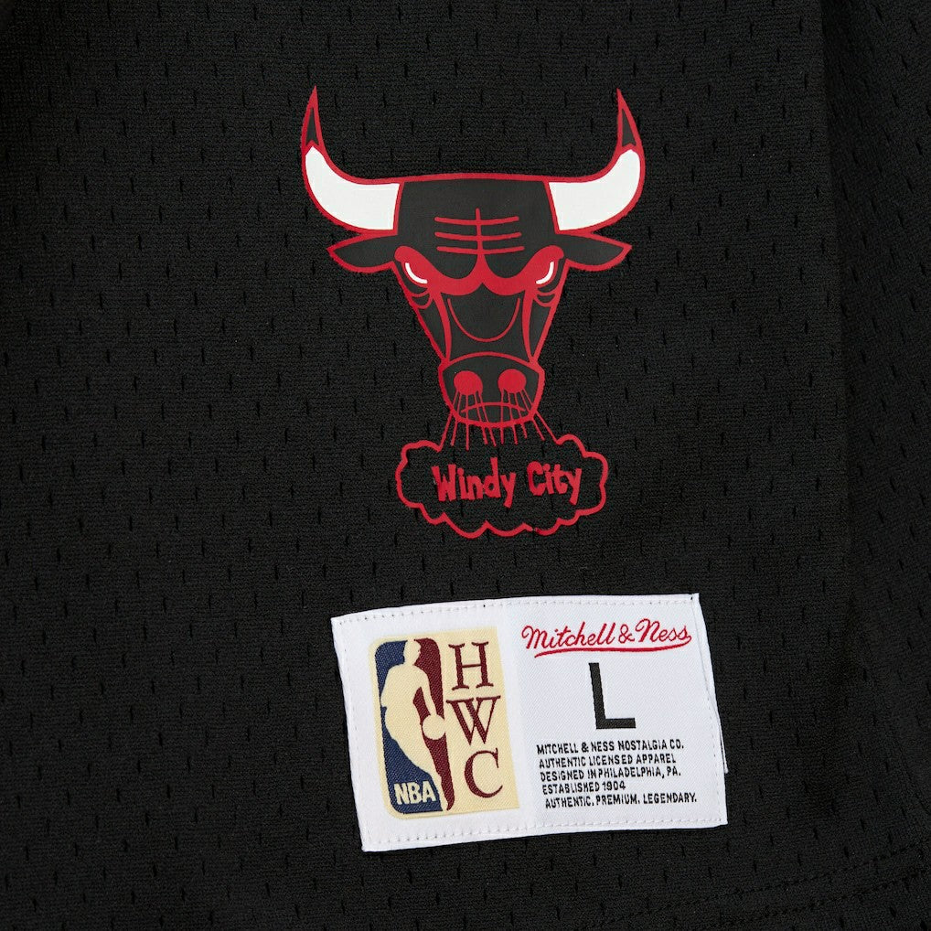 Dennis Rodman Chicago Bulls Mesh Name & Number Short Sleeve Hoodie Black - NBA