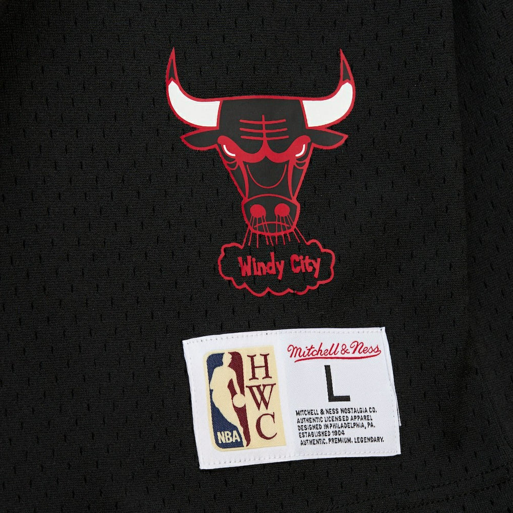 Dennis Rodman Chicago Bulls Mesh Name & Number Short Sleeve Hoodie Black - NBA