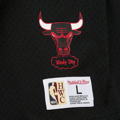 Dennis Rodman Chicago Bulls Mesh Name & Number Short Sleeve Hoodie Black - NBA