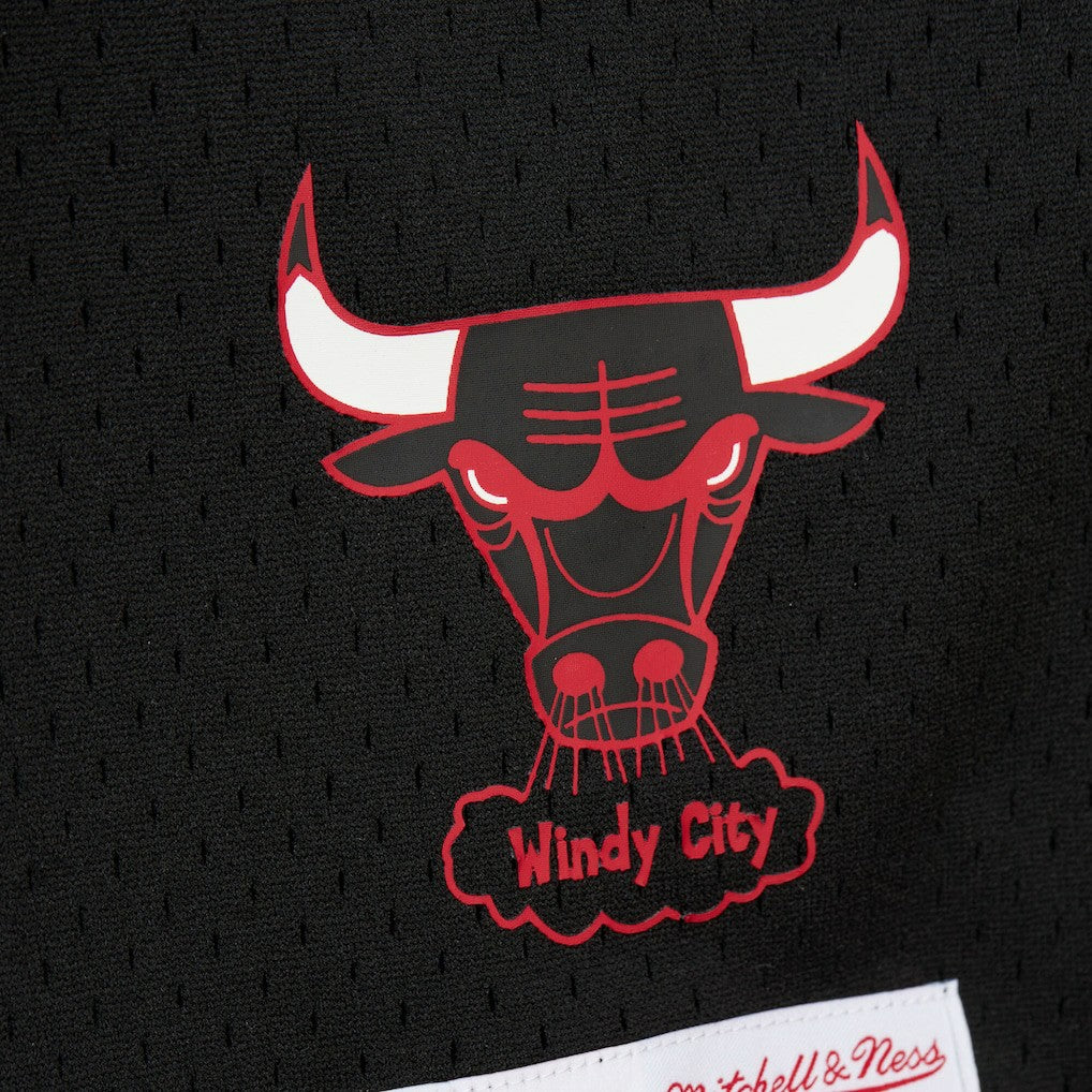 Dennis Rodman Chicago Bulls Mesh Name & Number Short Sleeve Hoodie Black - NBA