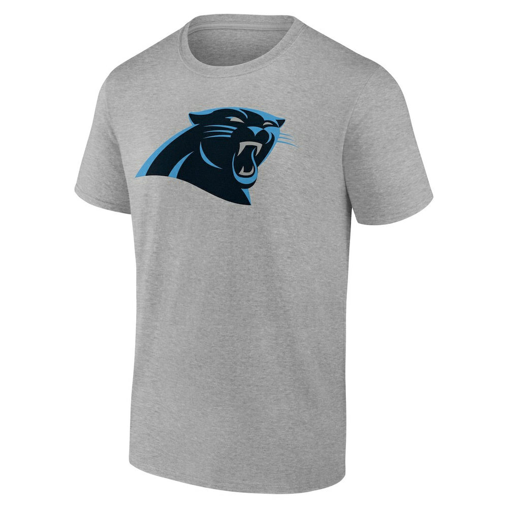 Carolina Panthers Big & Tall Team Authentic Custom T-Shirt Gray | NFL