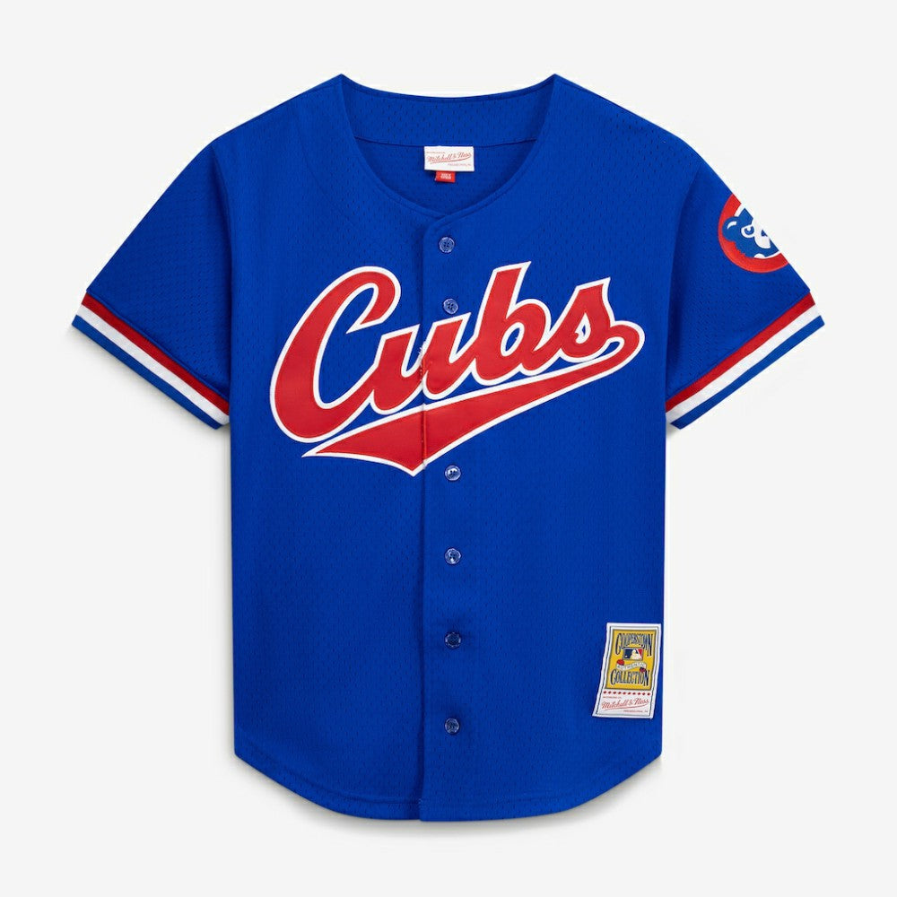 Ryne Sandberg Chicago Cubs Mitchell & Ness Cooperstown Collection 1996 Mesh Batting Practice Button-Up Jersey - MLB
