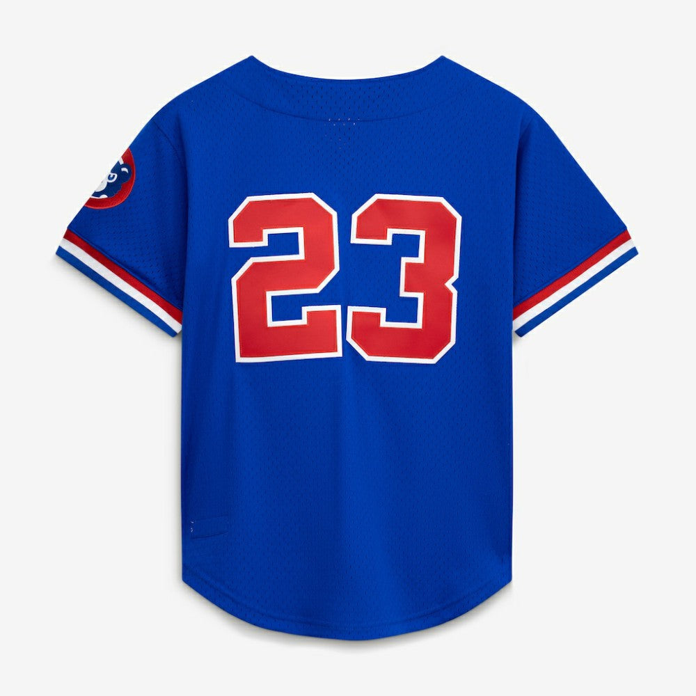 Ryne Sandberg Chicago Cubs Mitchell & Ness Cooperstown Collection 1996 Mesh Batting Practice Button-Up Jersey - MLB