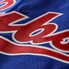 Ryne Sandberg Chicago Cubs Mitchell & Ness Cooperstown Collection 1996 Mesh Batting Practice Button-Up Jersey - MLB