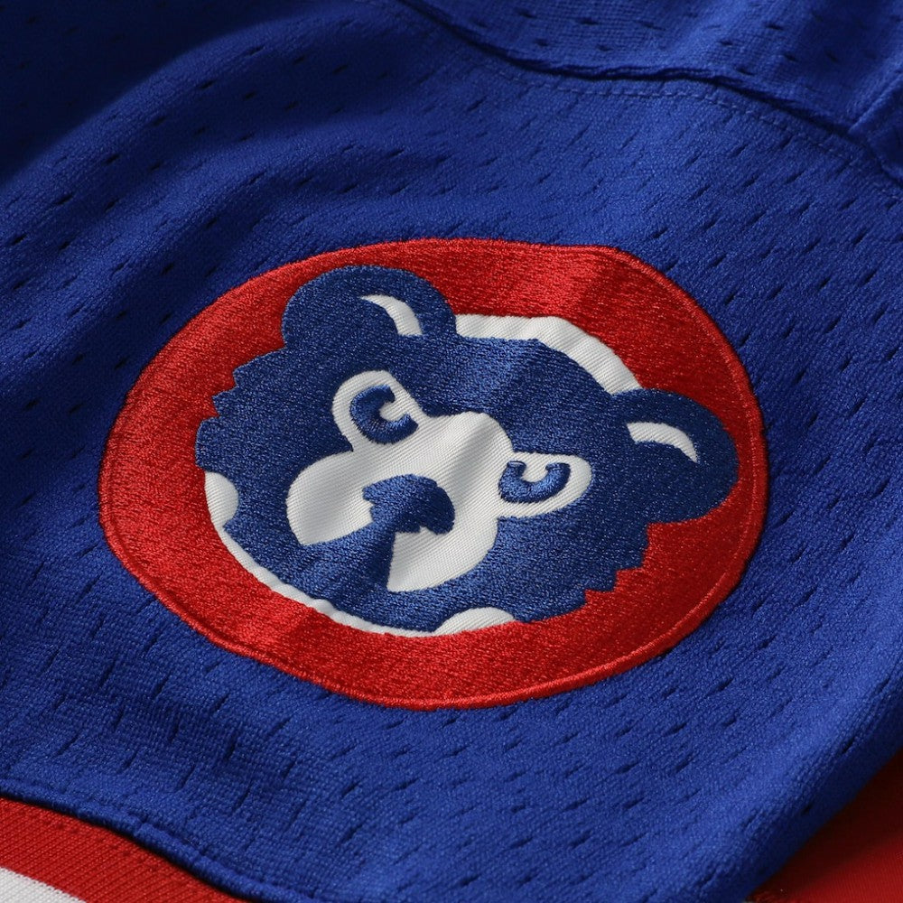 Ryne Sandberg Chicago Cubs Mitchell & Ness Cooperstown Collection 1996 Mesh Batting Practice Button-Up Jersey - MLB