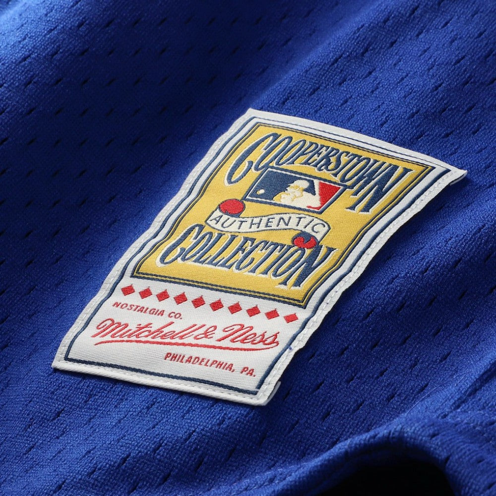 Ryne Sandberg Chicago Cubs Mitchell & Ness Cooperstown Collection 1996 Mesh Batting Practice Button-Up Jersey - MLB