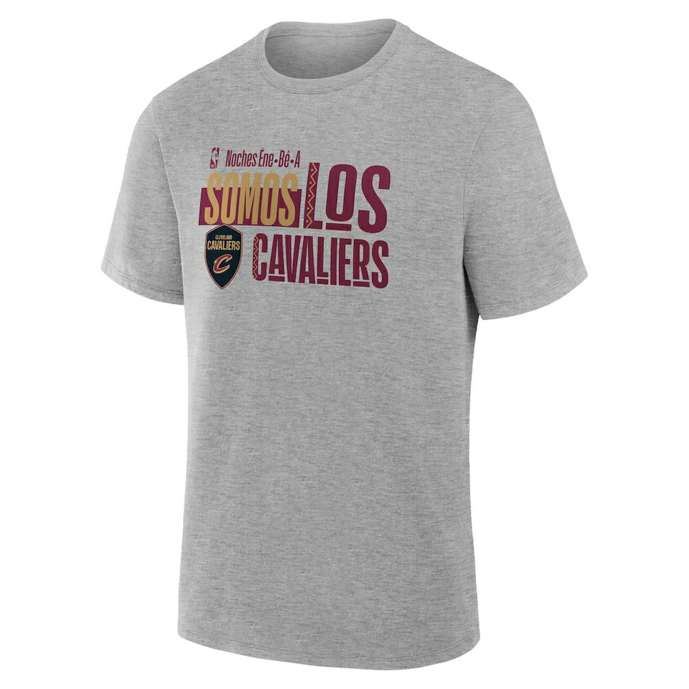 Cleveland Cavaliers Noches Training T-Shirt Gray - NBA