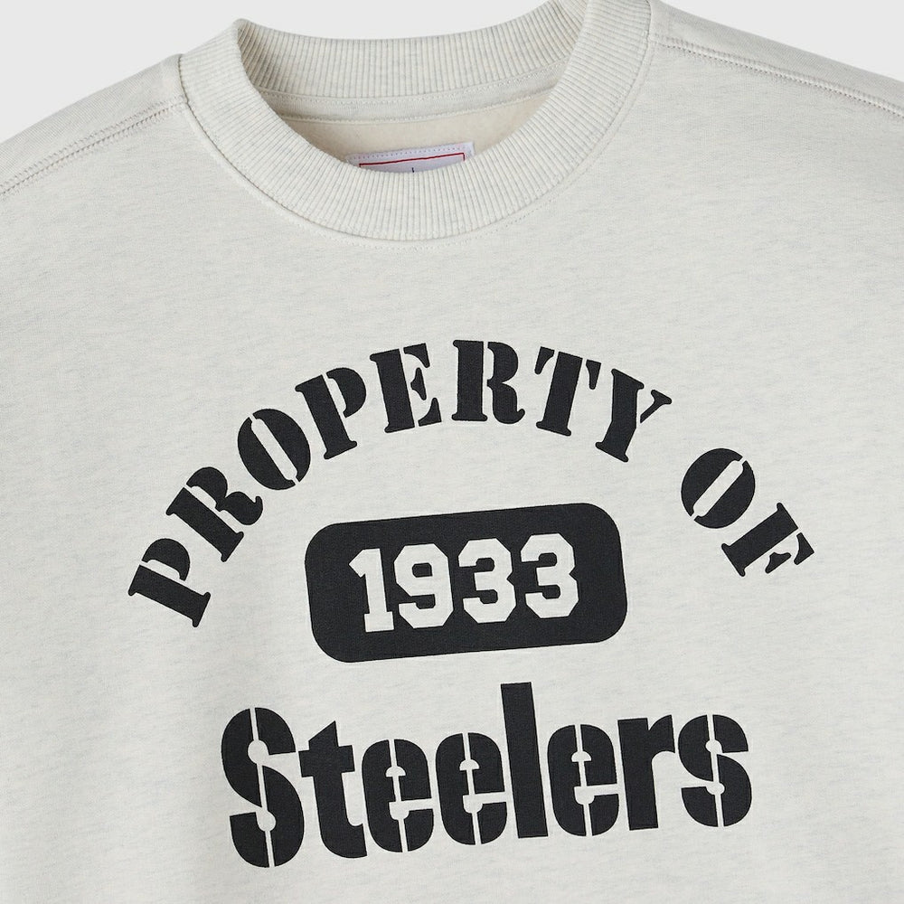 Pittsburgh Steelers OVO x NFL Unisex Fleece Sweatshirt Heather Gray | NFL