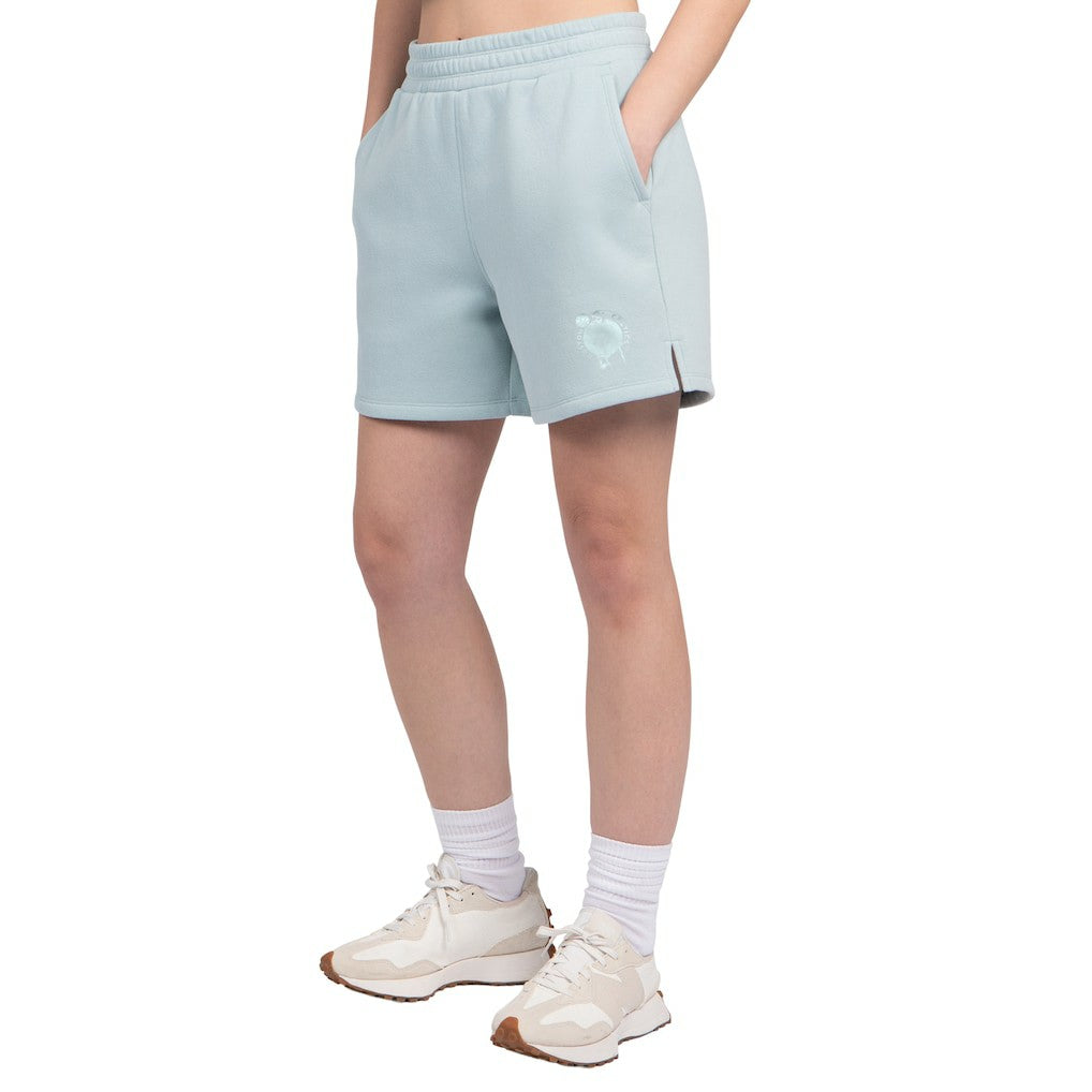 Boston Celtics Starter Women's Pastel High Waisted Shorts Light Blue - NBA