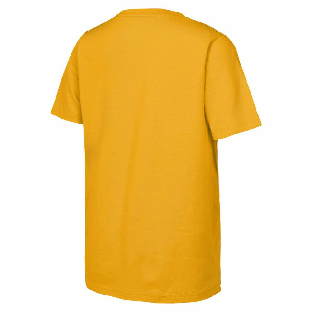 Boston Bruins Fanatics Youth 2026 NHL Stadium Series Authentic Locker Room T-Shirt - Gold - NHL
