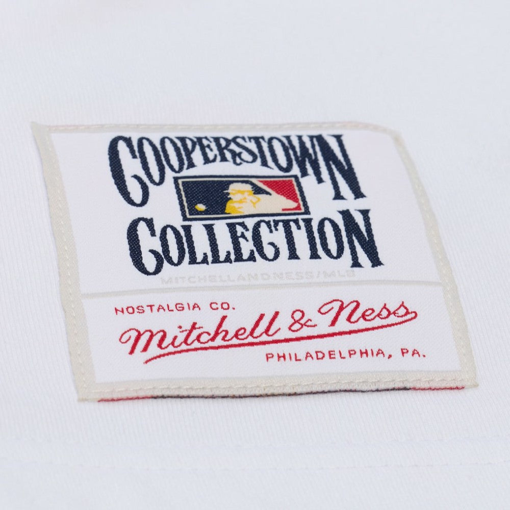 San Francisco Giants Mitchell & Ness Cooperstown Collection Arctic T-Shirt - MLB