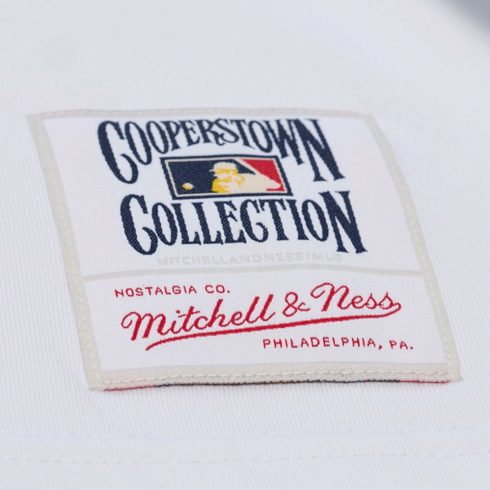 Chicago Cubs Mitchell & Ness Cooperstown Collection Arctic T-Shirt - MLB