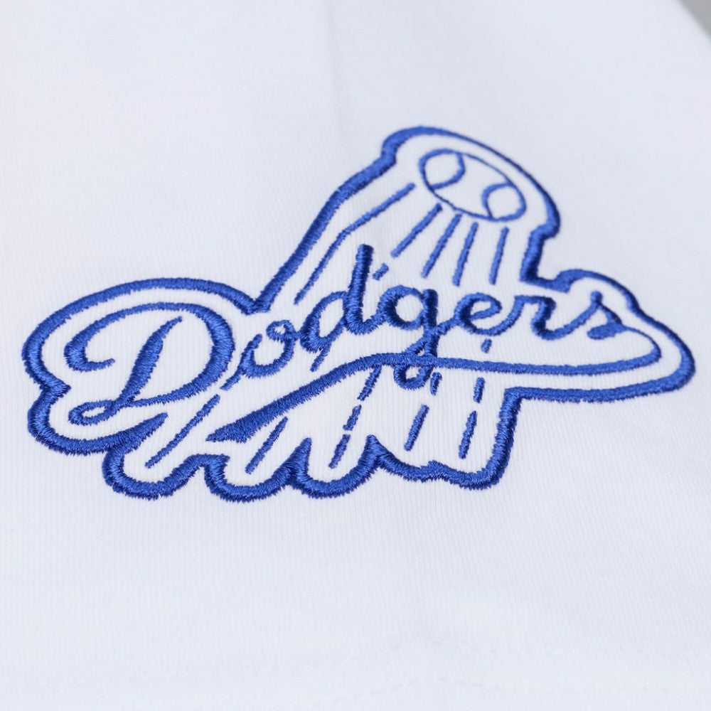 Los Angeles Dodgers Mitchell & Ness Cooperstown Collection Arctic T-Shirt - MLB