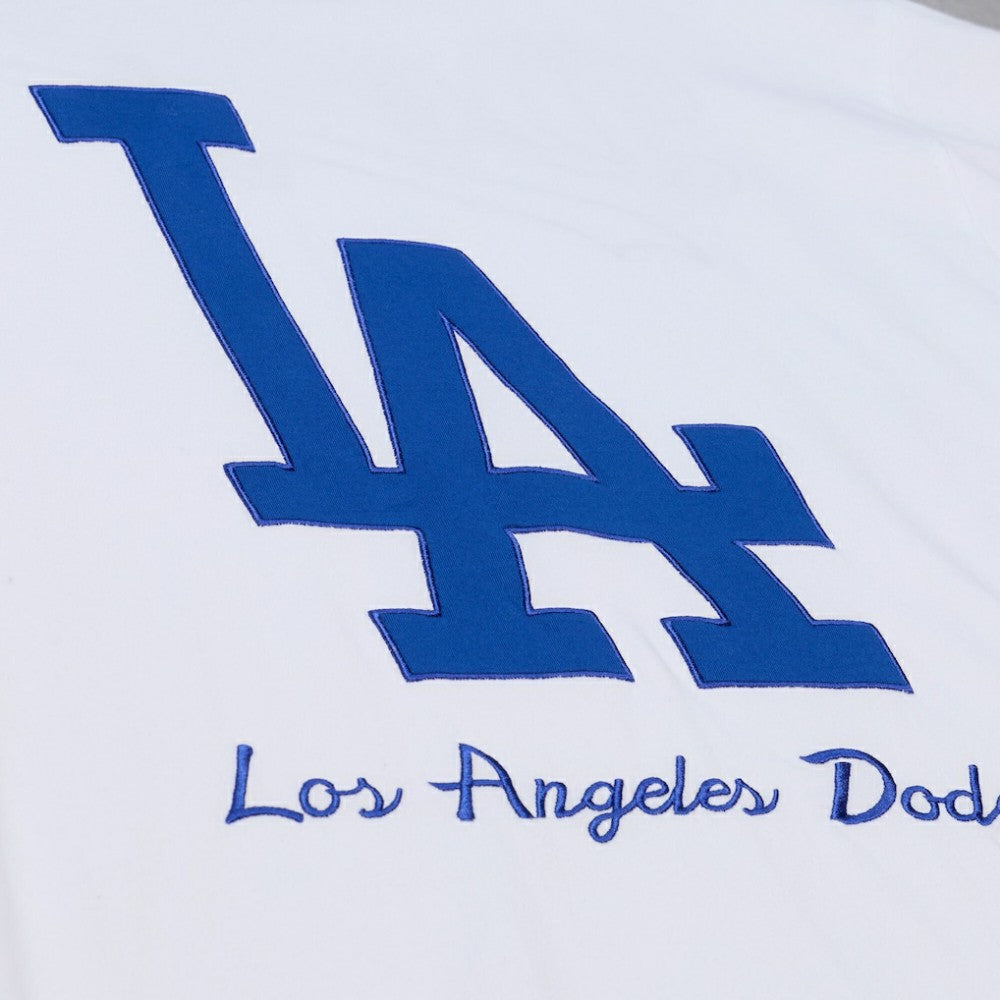 Los Angeles Dodgers Mitchell & Ness Cooperstown Collection Arctic T-Shirt - MLB