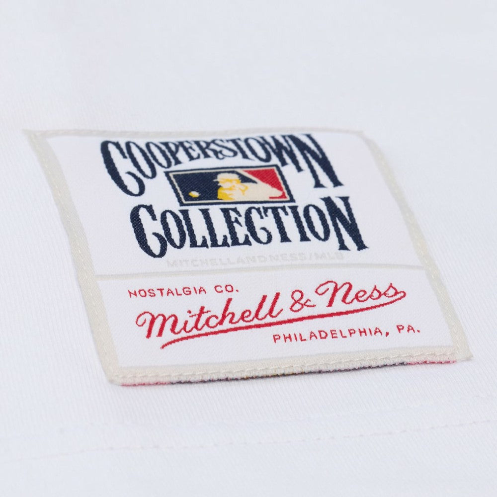 Los Angeles Dodgers Mitchell & Ness Cooperstown Collection Arctic T-Shirt - MLB