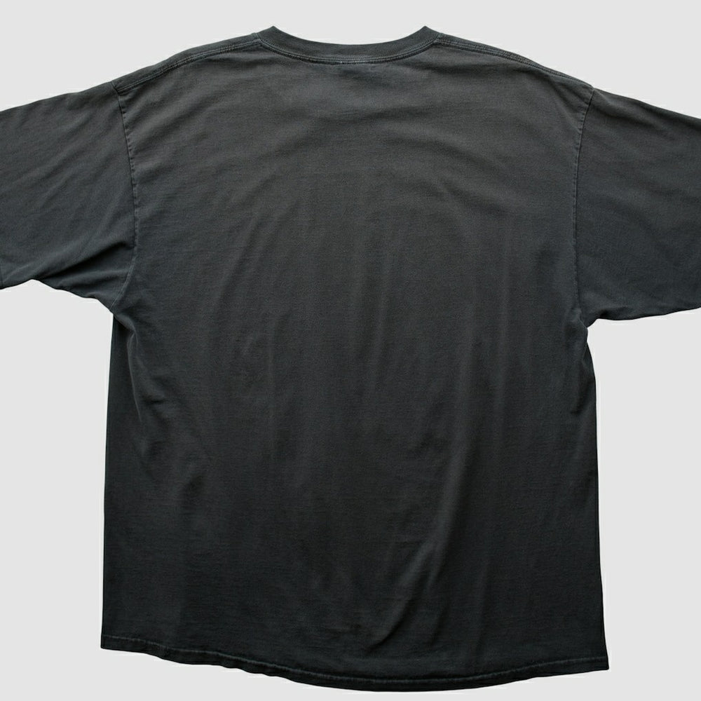 Pittsburgh Steelers NFL 2000s T-shirt Black Vintage | Fanatics