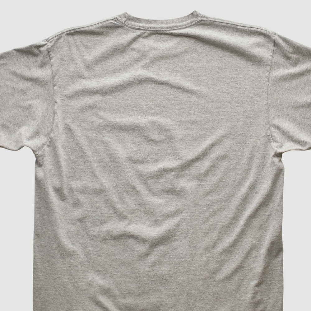 Pittsburgh Steelers Reebok 2006 T-shirt Heather Gray Vintage | Fanatics