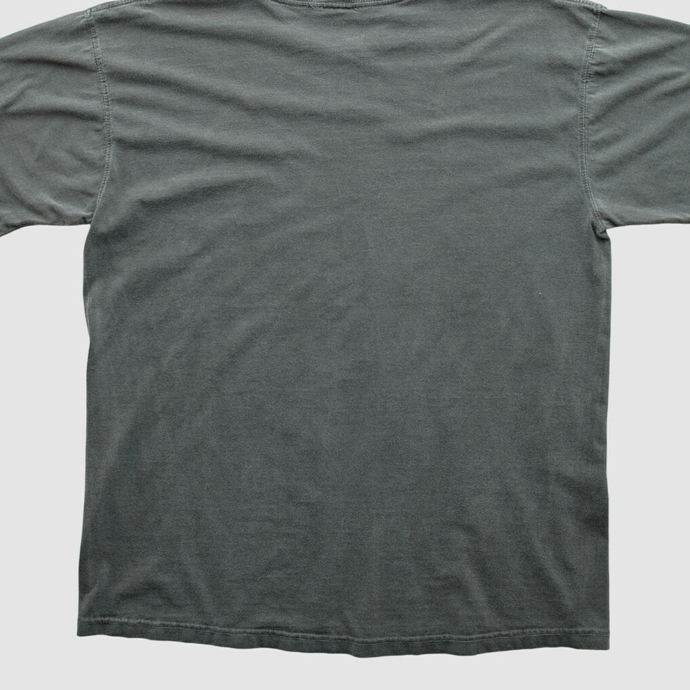 Cleveland Browns NFL Pro Line 2010s T-shirt Charcoal Vintage | Fanatics