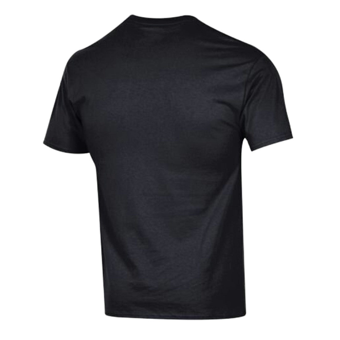 Detroit Lions Champion Arch Over Logo T-Shirt Black | NFL