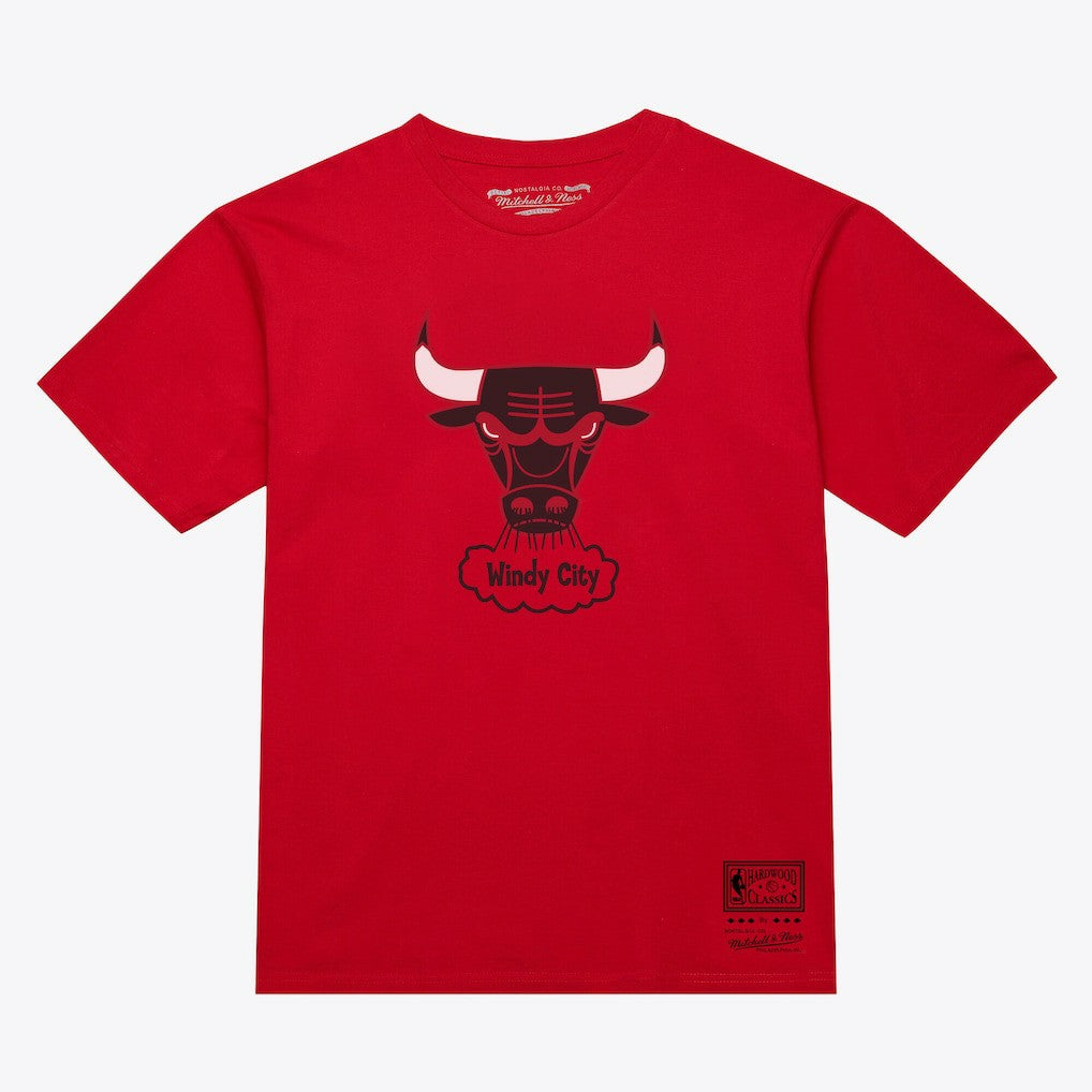 Chicago Bulls Unisex Hardwood Classics Arch T-Shirt Red - NBA