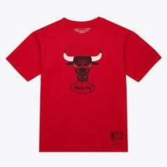 Chicago Bulls Unisex Hardwood Classics Arch T-Shirt Red - NBA