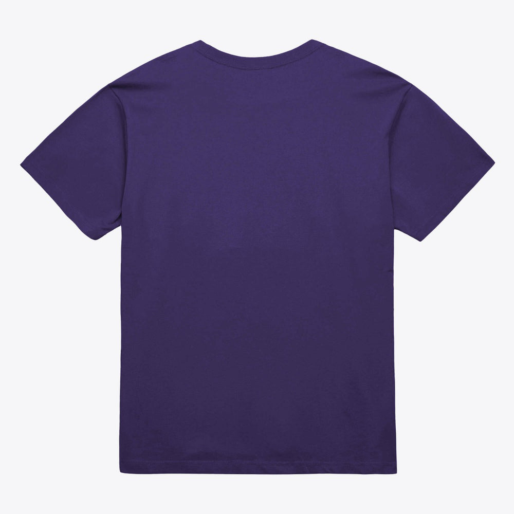 Phoenix Suns Unisex Hardwood Classics Arch T-Shirt Purple - NBA
